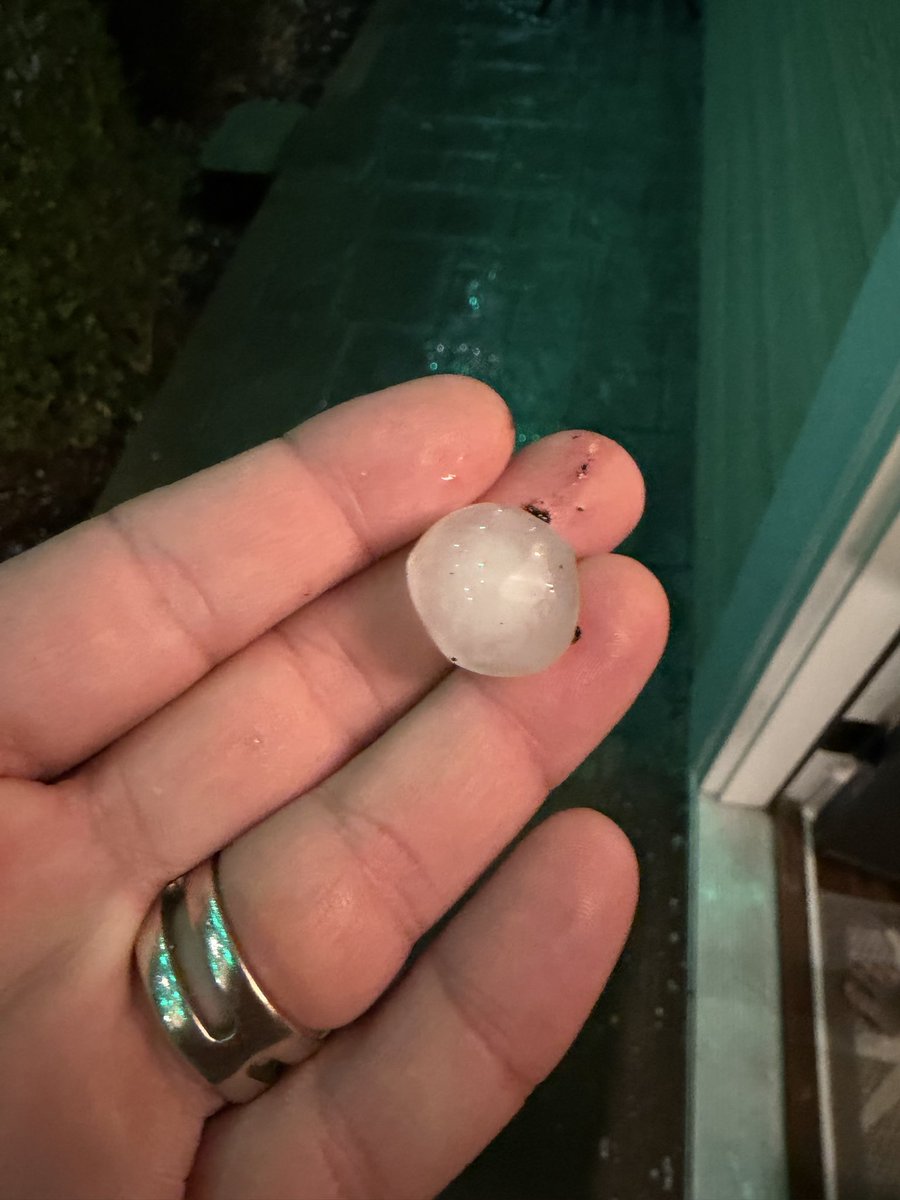 Clifton Alexander tweet media