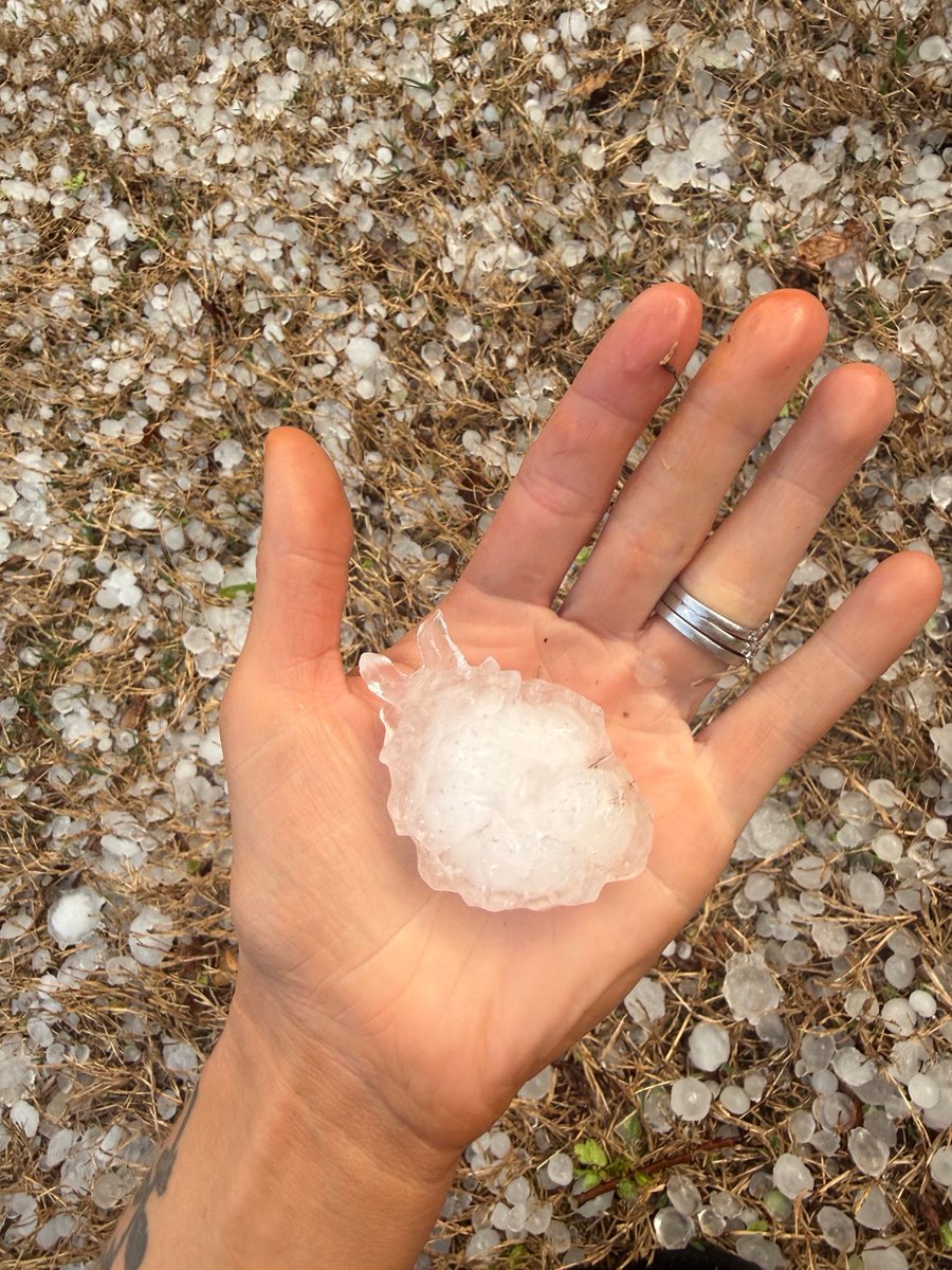 Emily Sutton tweet media