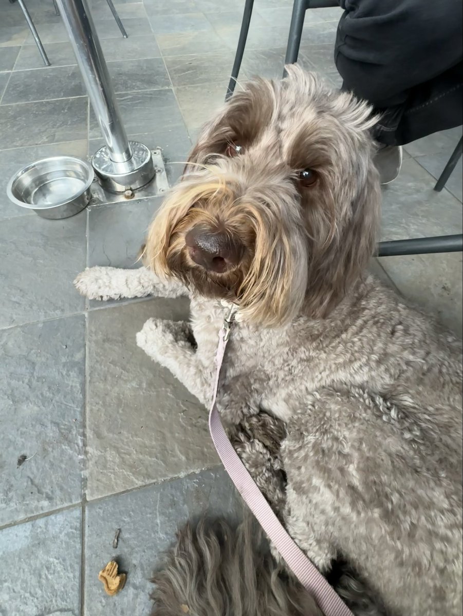 Mekialaya White tweet media