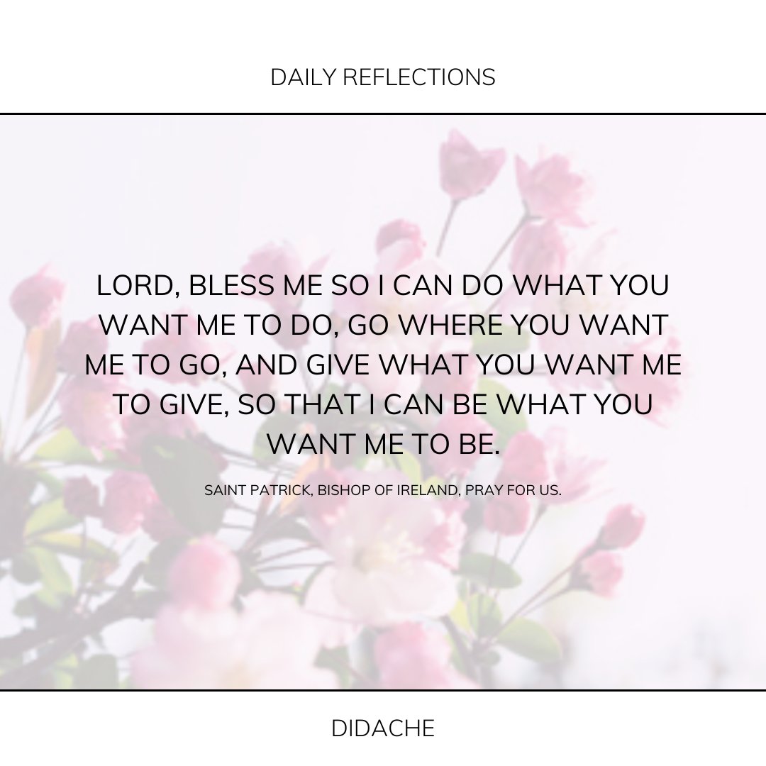 The Feast tweet media