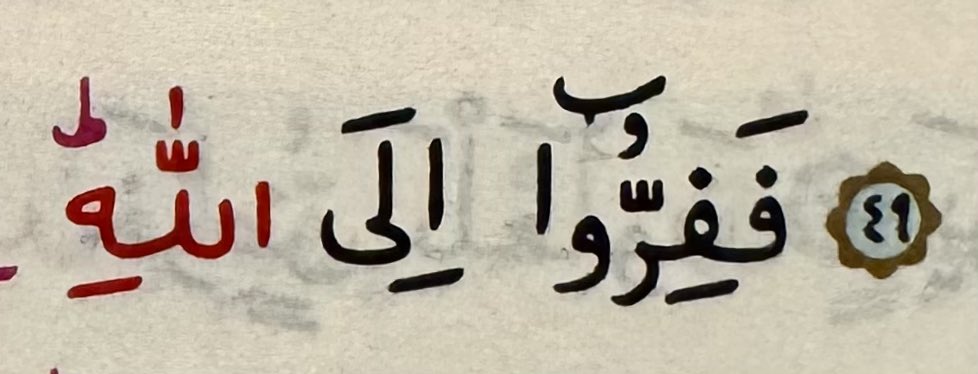 mosquesty (@mosquesty) on Twitter photo 