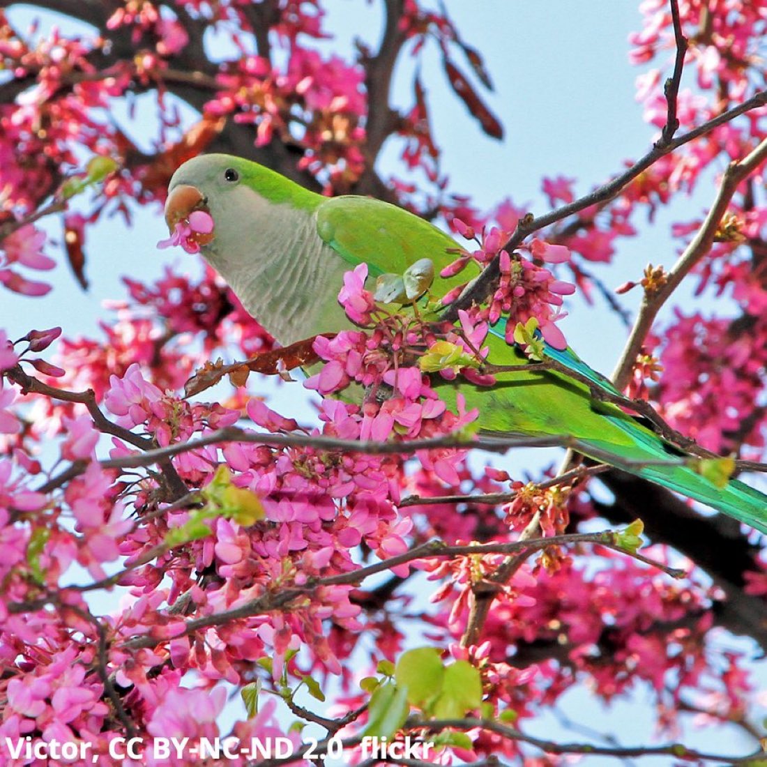American Museum of Natural History tweet media