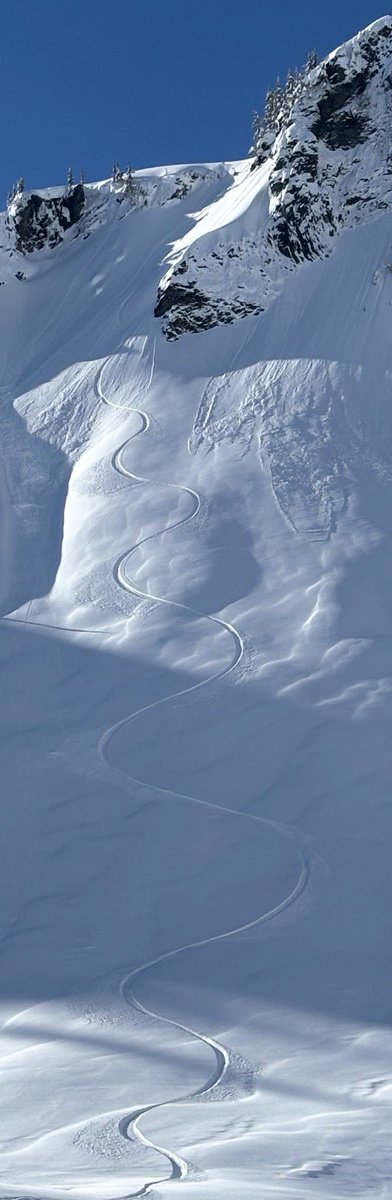 glacierskishop.com (@glacierskishop) / Posts / X