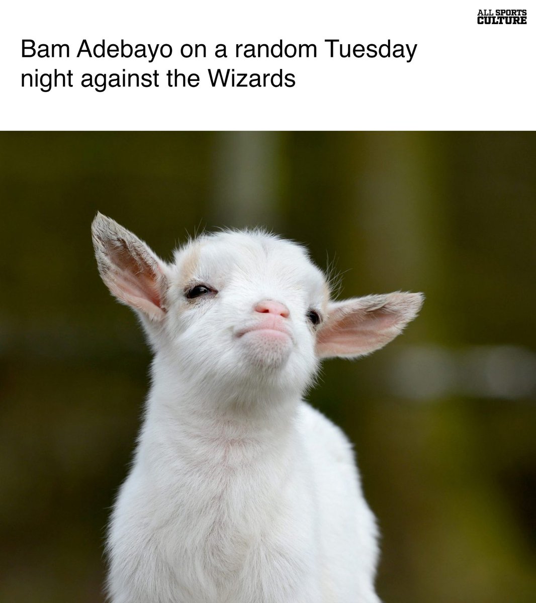 All Sports Culture tweet media