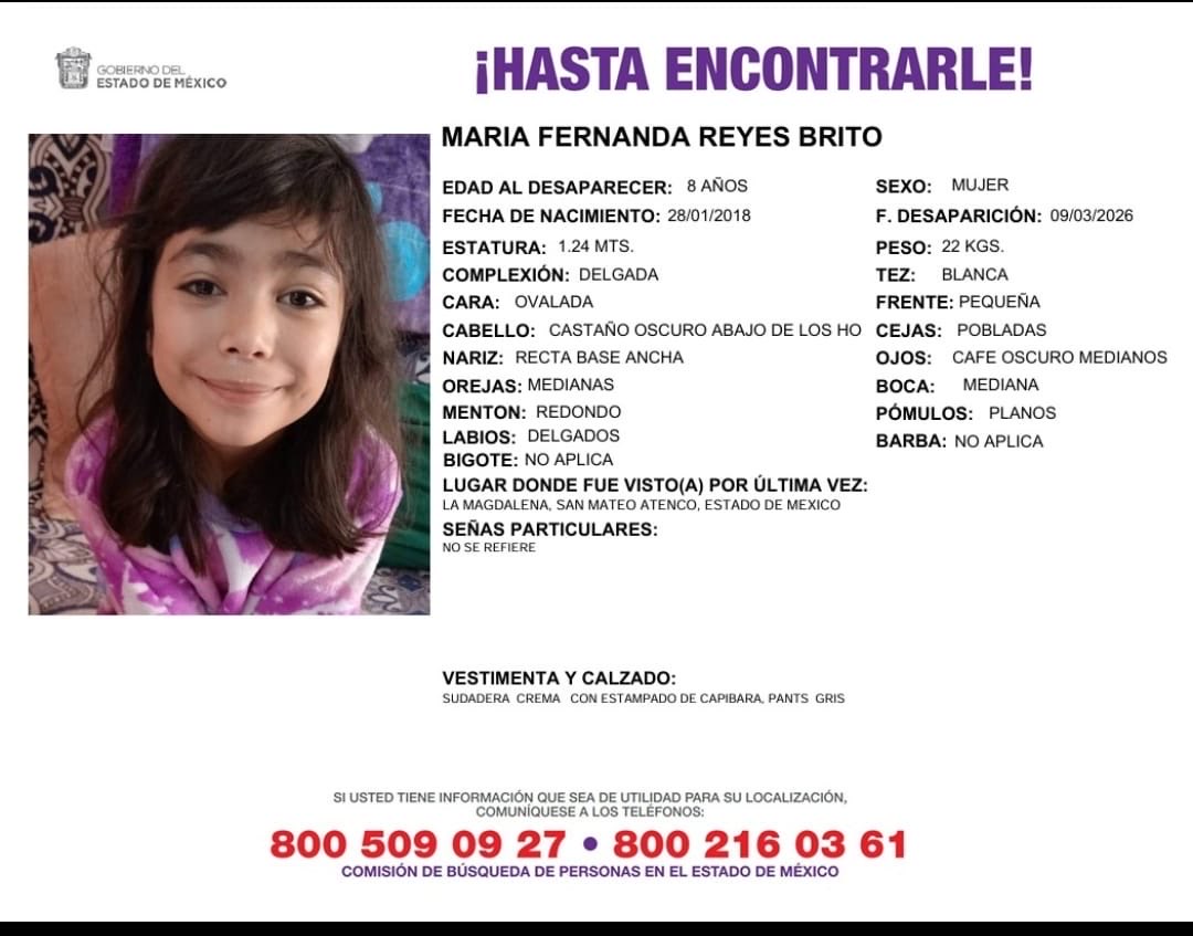 Satélite Alerta tweet media