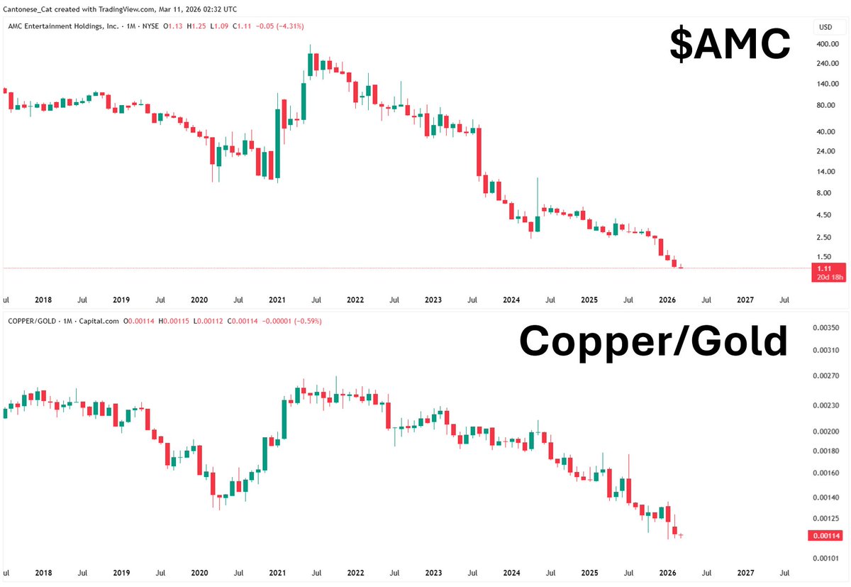 Cantonese Cat 🐱🐈 tweet media