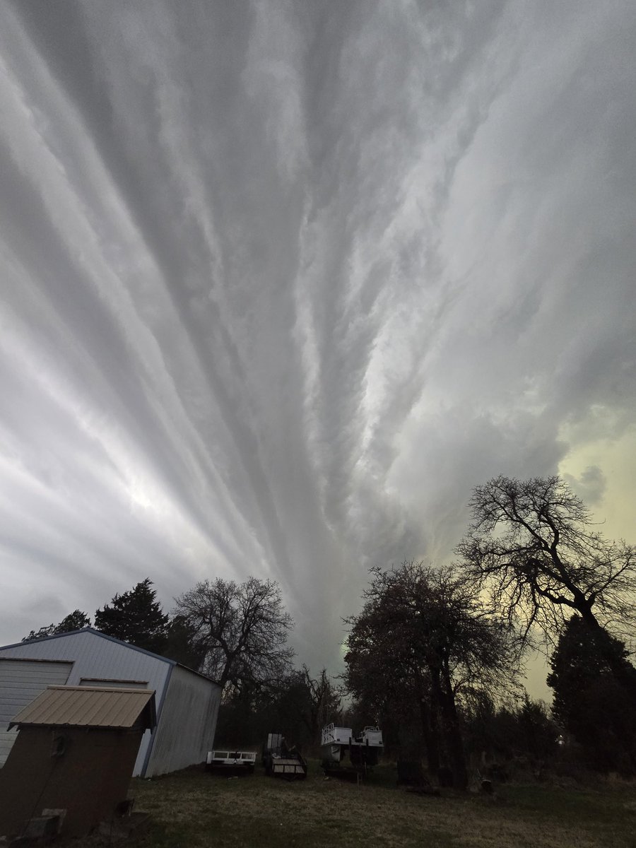 Emily Sutton tweet media