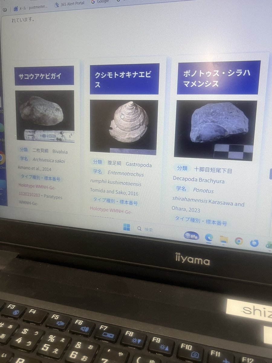 和歌山県立自然博物館 tweet media