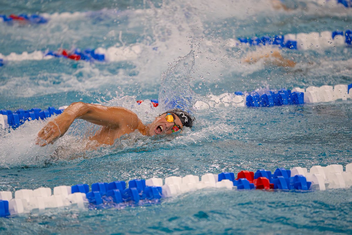 Florida Tech Swimming tweet media