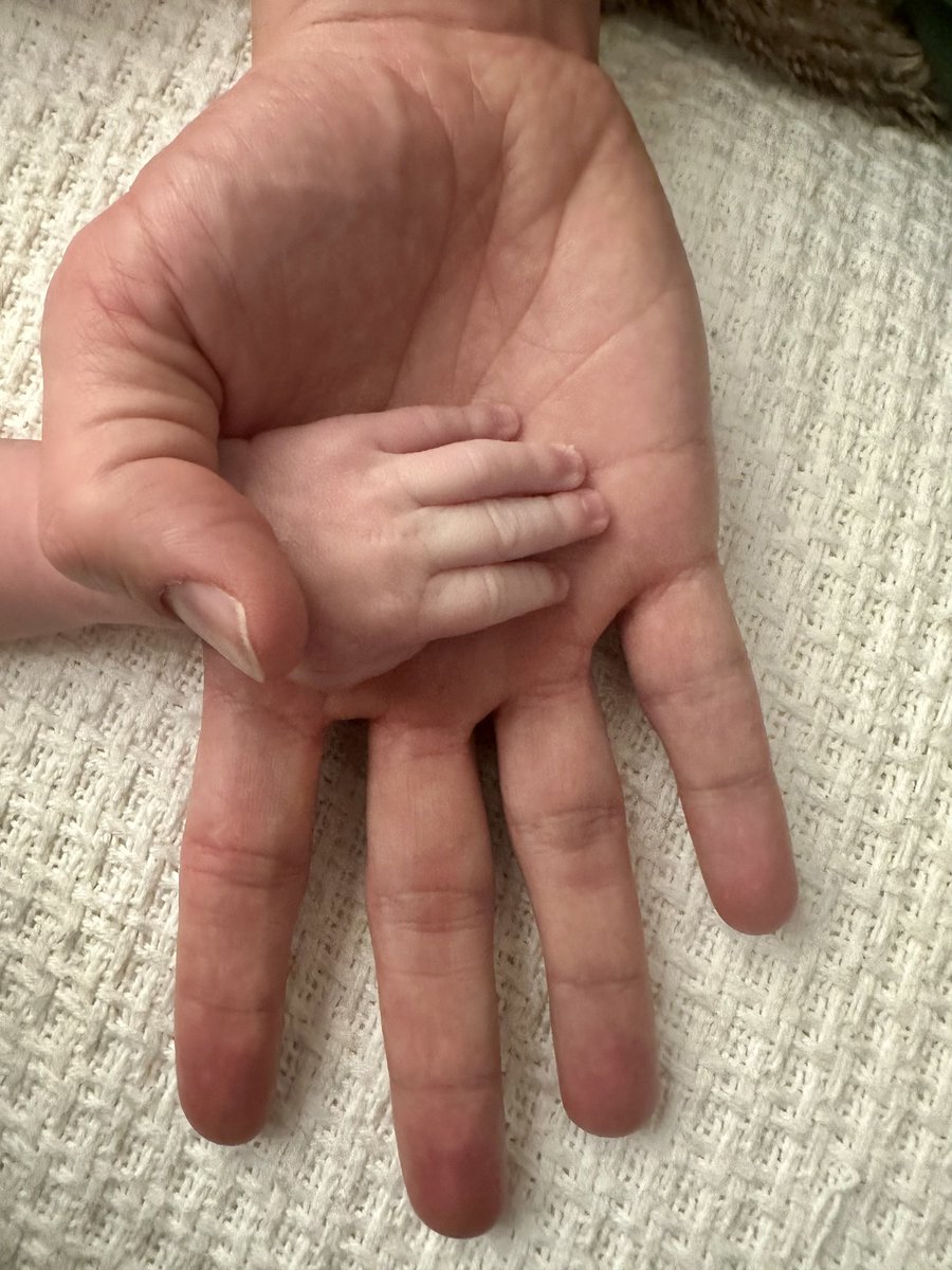 Dr. Josef tweet media