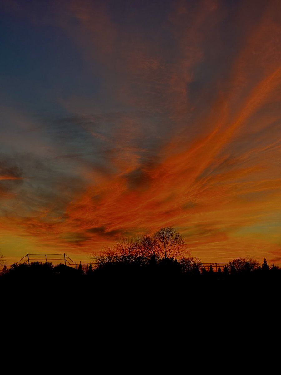 William Roberts tweet media