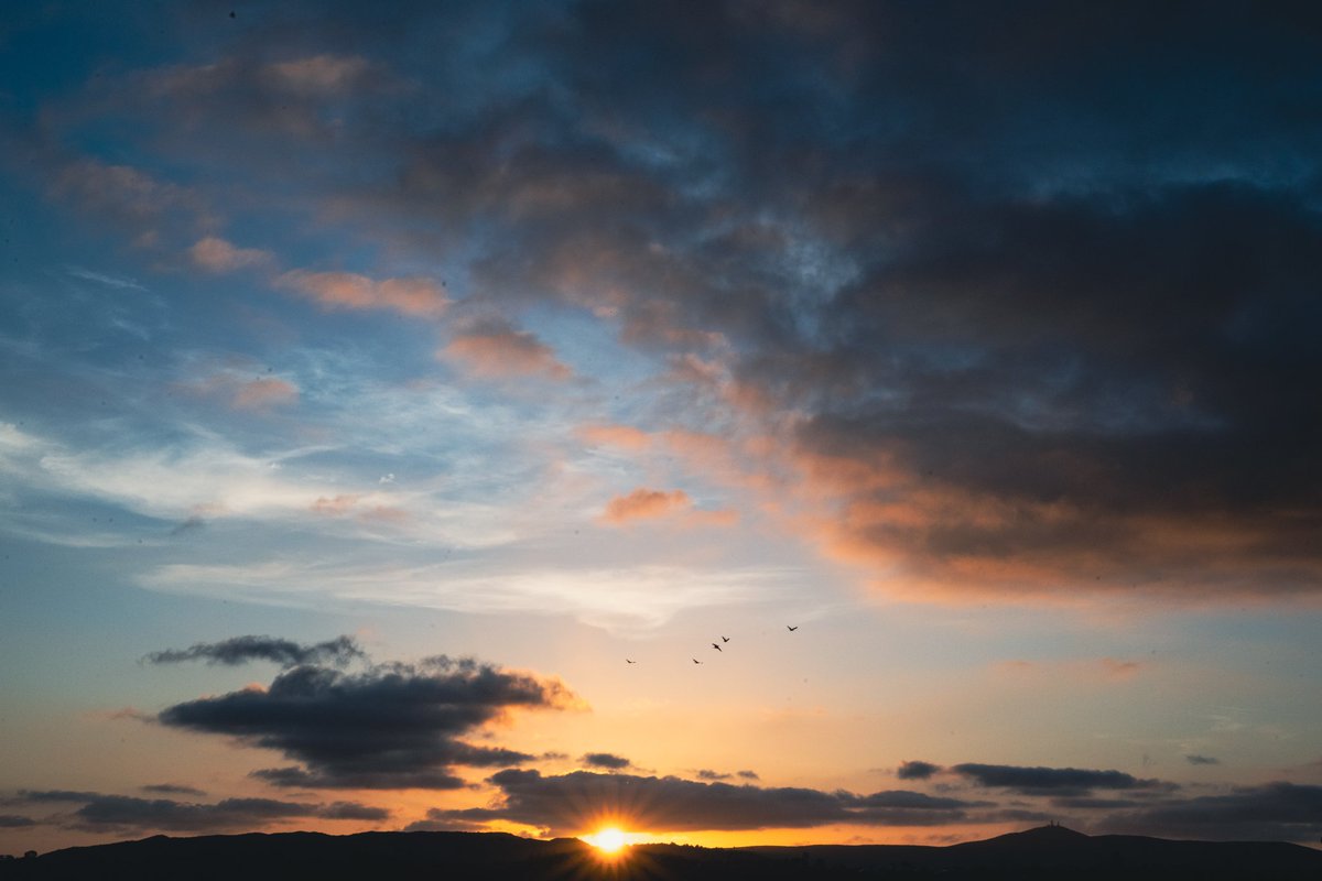 rmourpoppop's tweet image. #poway