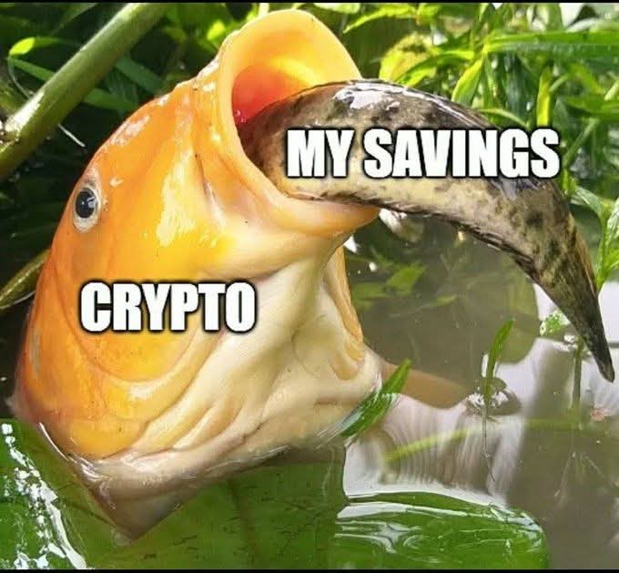 lynk0x's tweet photo. All my money is gone. https://t.co/8eEhng7ZQB