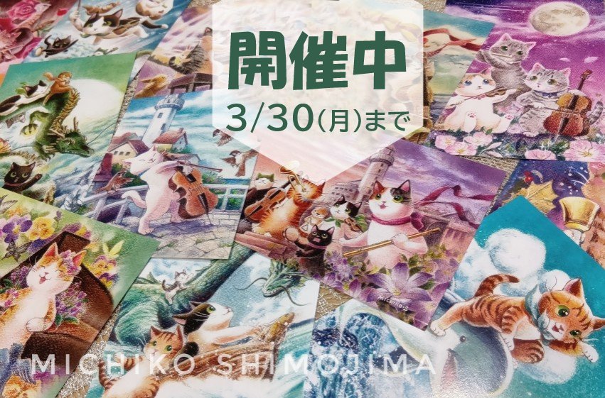 Strings cat・下島みちこ@猫の絵描き tweet media