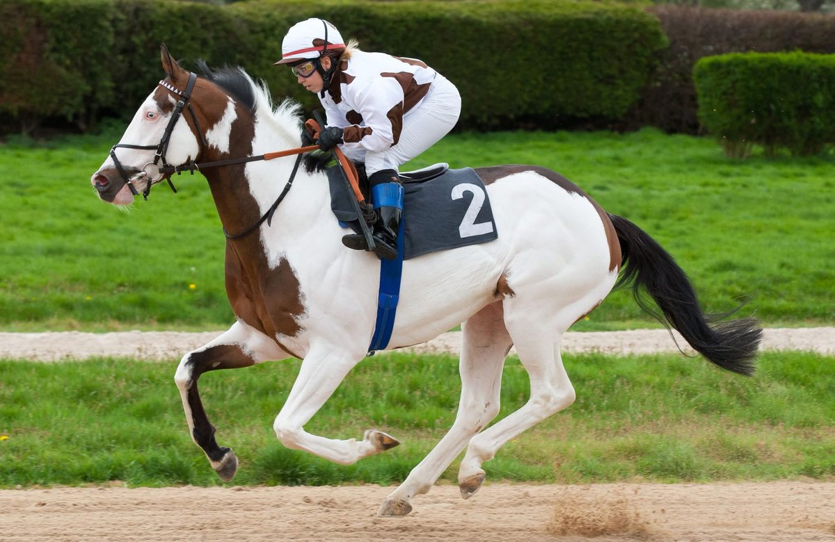 🐎 Lucky McQueen 🏎️ tweet media