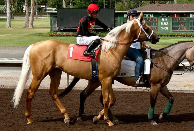 🐎 Lucky McQueen 🏎️ tweet media