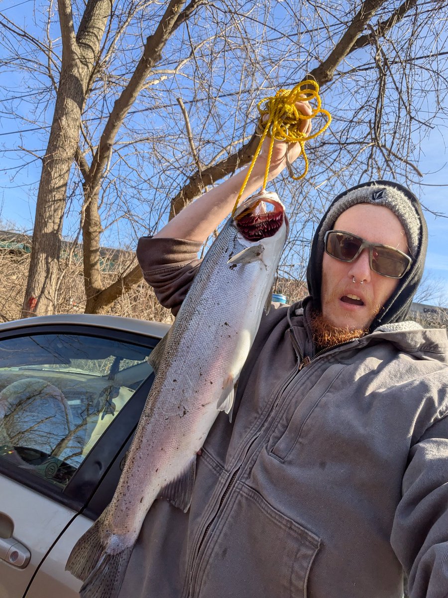 Justdikken's tweet photo. First cast hen 🔥 https://t.co/eTSWOvhC8Z