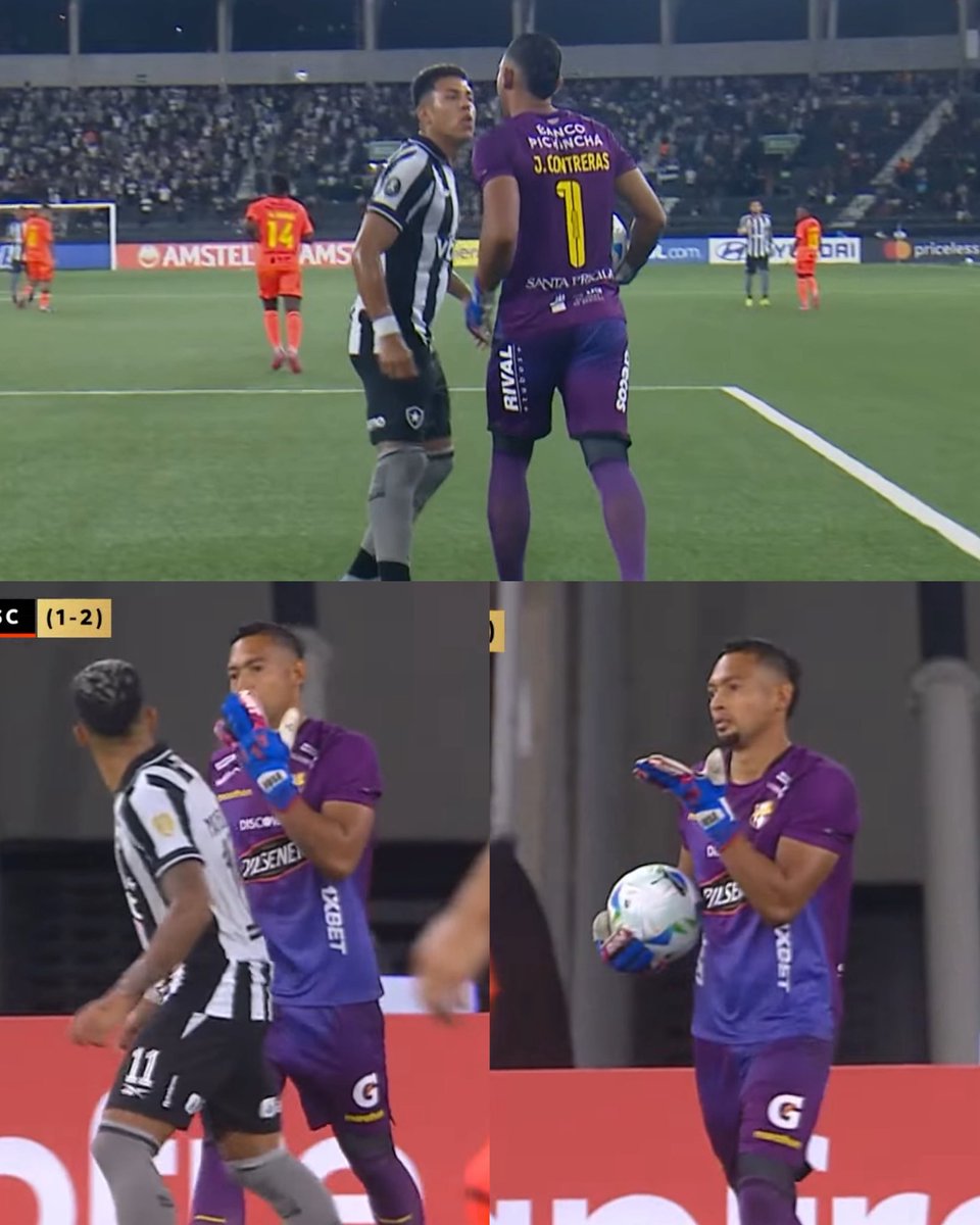 Carolina tweet media