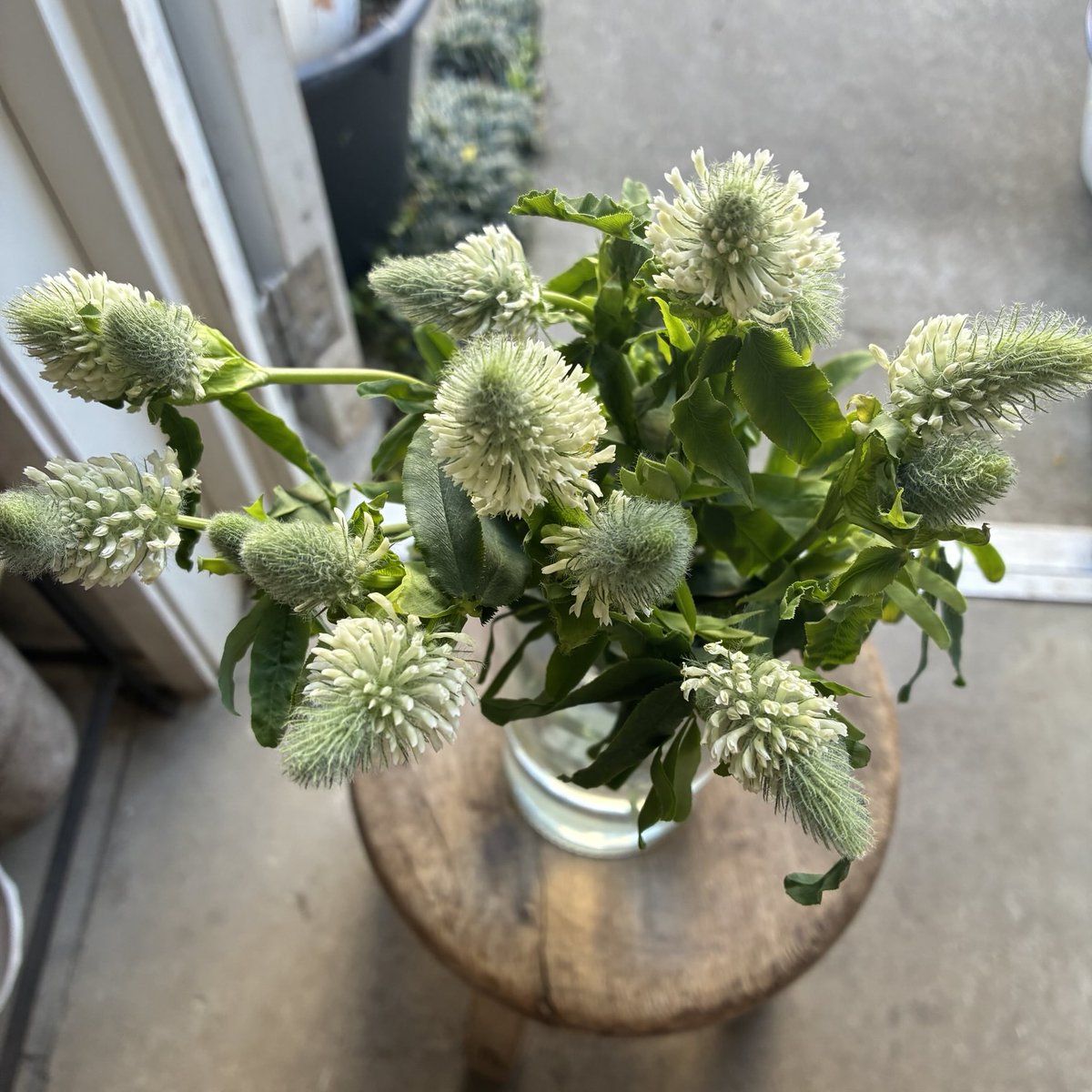 d`ici peu tweet media