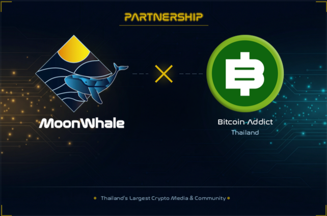 MoonWhale tweet media