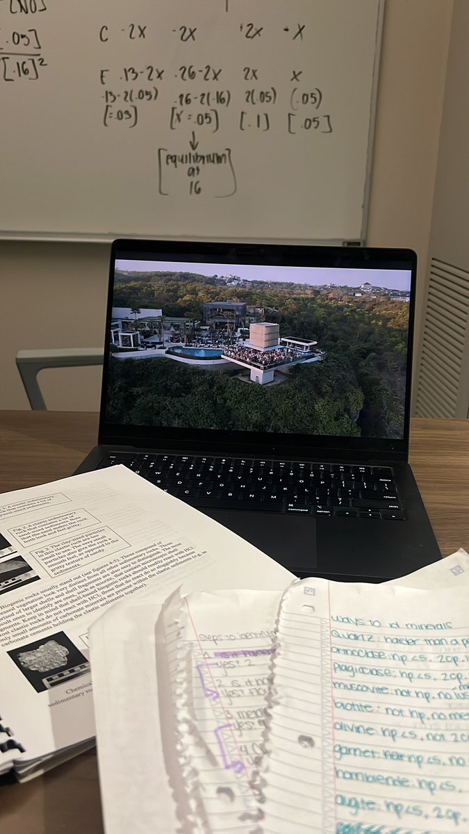 sarah cameruci tweet media