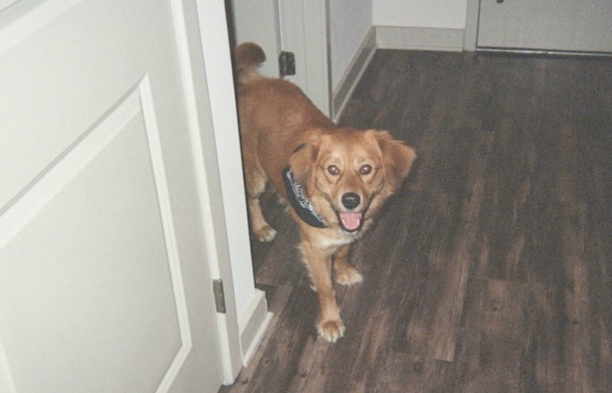 Lotta songs, little time in the woods, some miles on the road, good laughs, old friends and a new four-legged one…