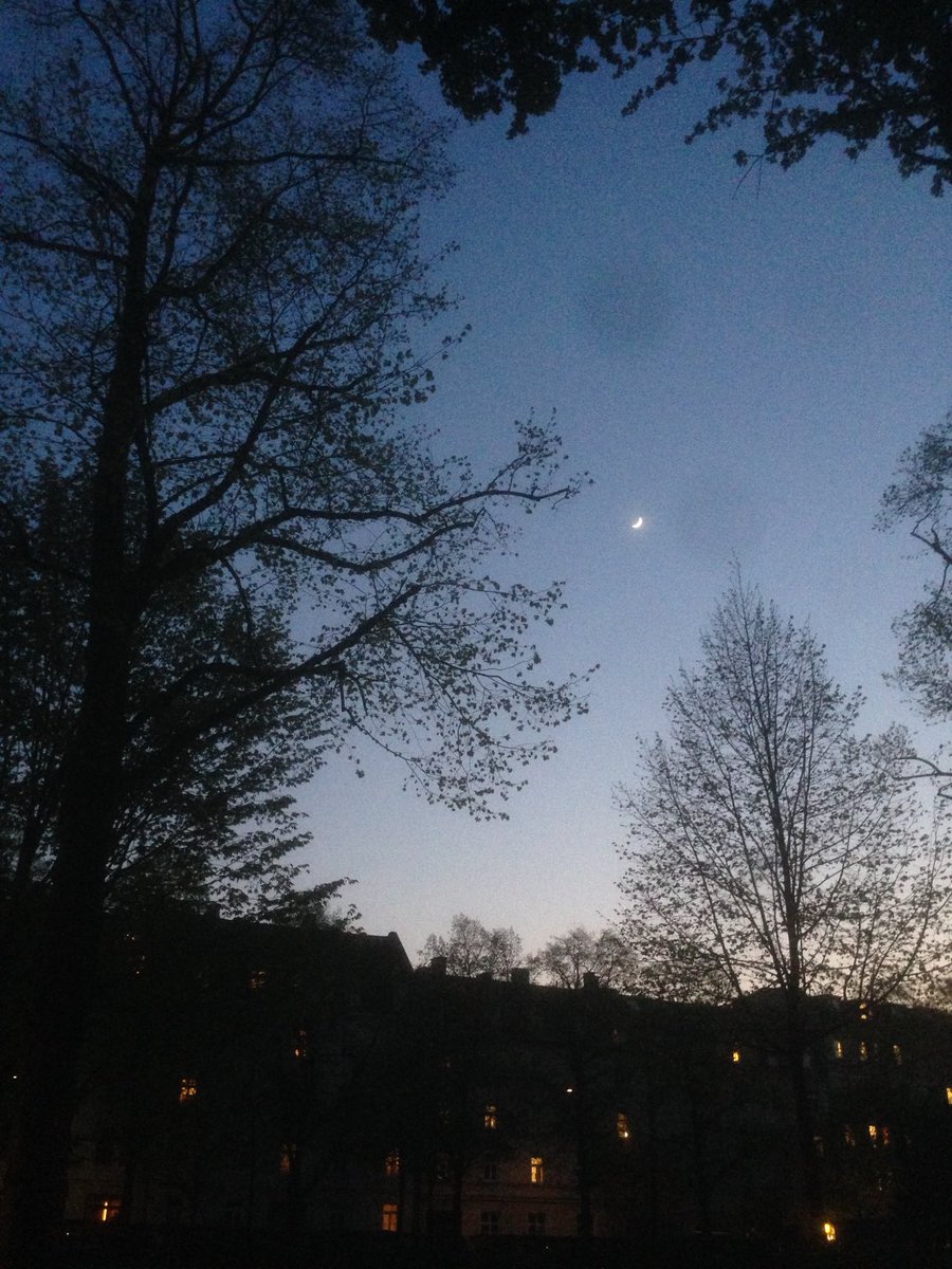 Rawrleigh Narf Cawoolina tweet media