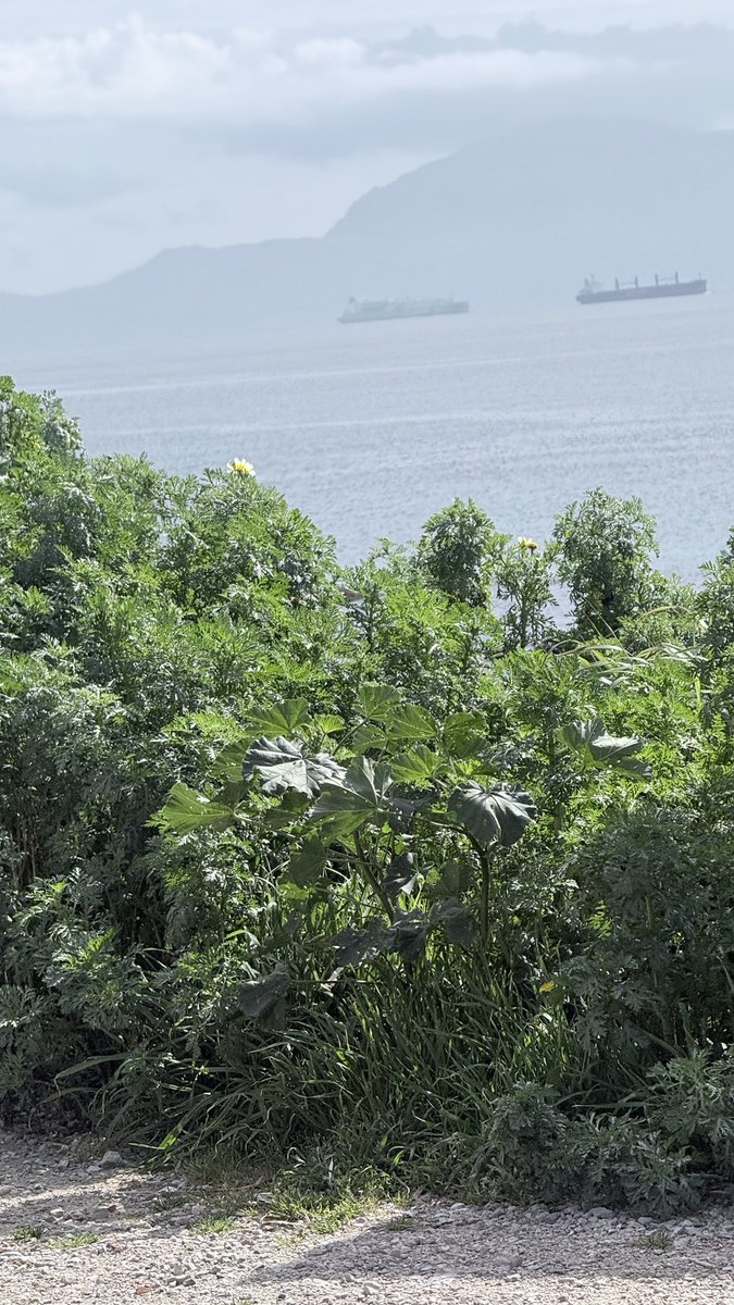 jessetwitnow tweet media