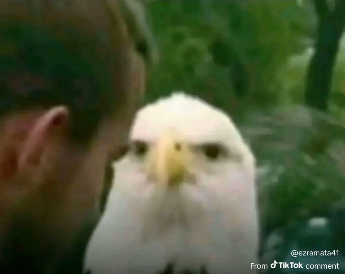 Michael Terrell tweet media