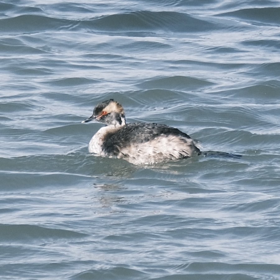 Justin Friskie tweet media