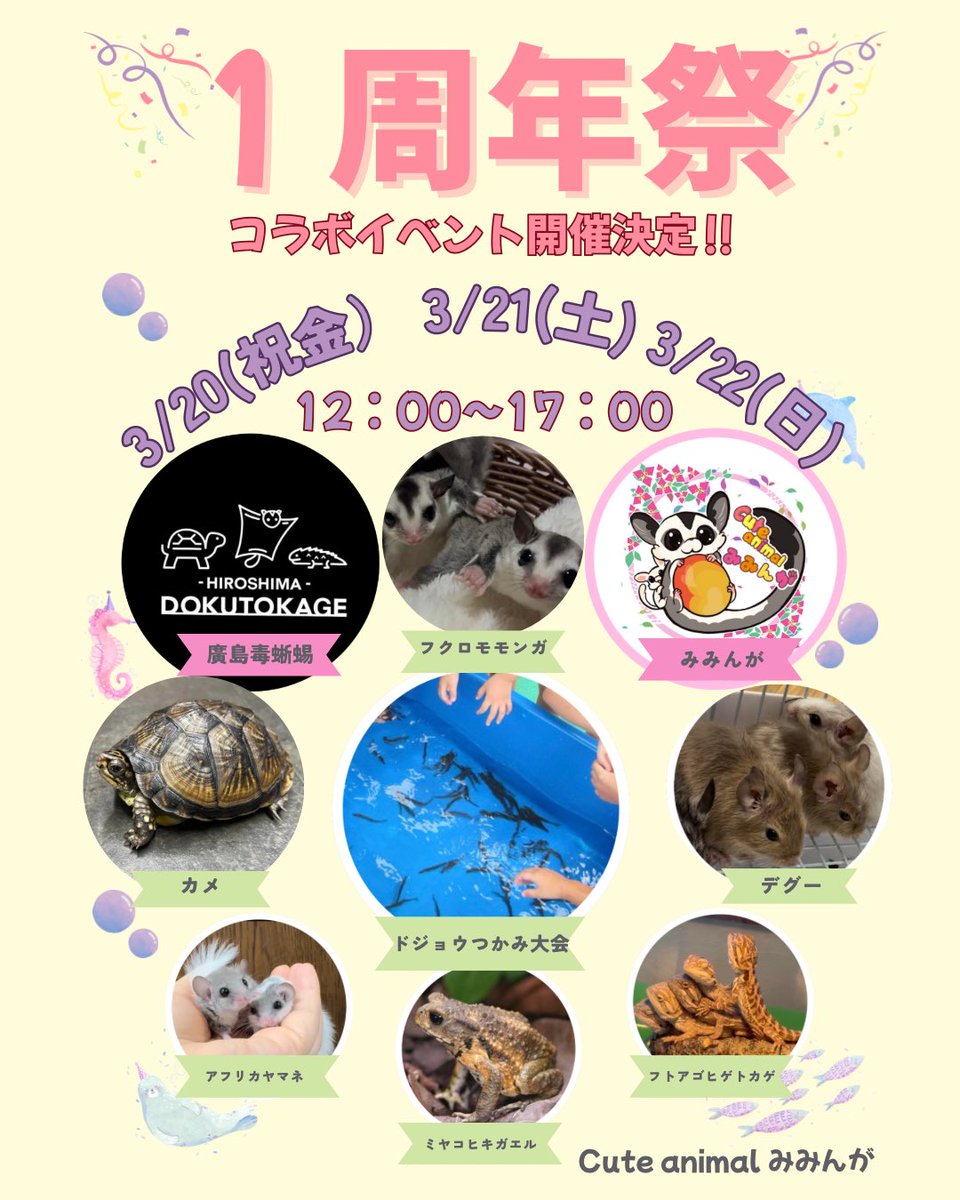 Cute animal みみんが𓄛 tweet media