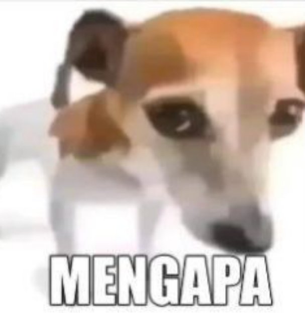 shami²⁶ 🐝🌬 tweet media