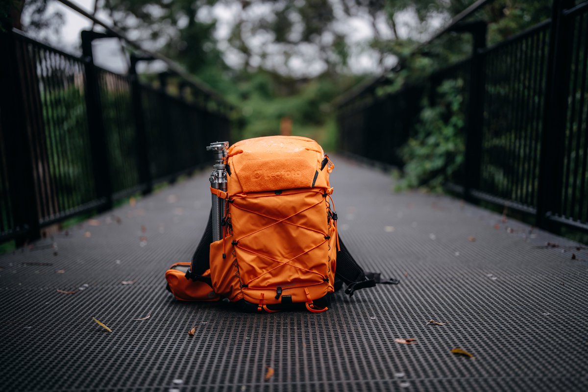 LeofotoZS's tweet image. Leofoto Backup Camera Backpack – Now in a new color: Vibrant Orange 🍂

Why you'll love it:
✅ 35L – the ideal size for your gear
✅ Water-resistant &amp;amp; anti-scratch fabric
✅ Multiple access points for quick gear changes

📸 IG@hr_images
✨ Gear: BPA-35L Orange

#CameraBackpack