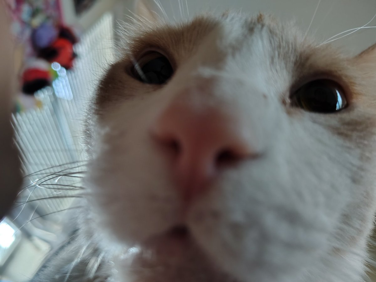 King leZbian (kz) 📌 tweet media