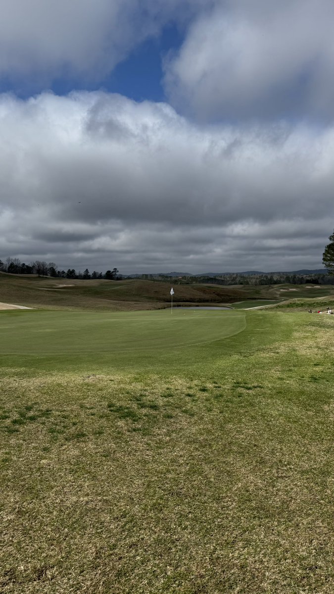 Jared Boggus tweet media