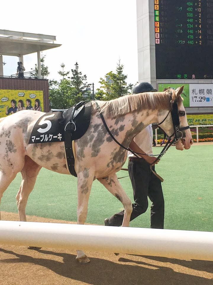 🌿🦝 ▸ 𝚂𝙺𝙸𝙳𝙳 ◂ 🛍️ First Ostomate tweet media