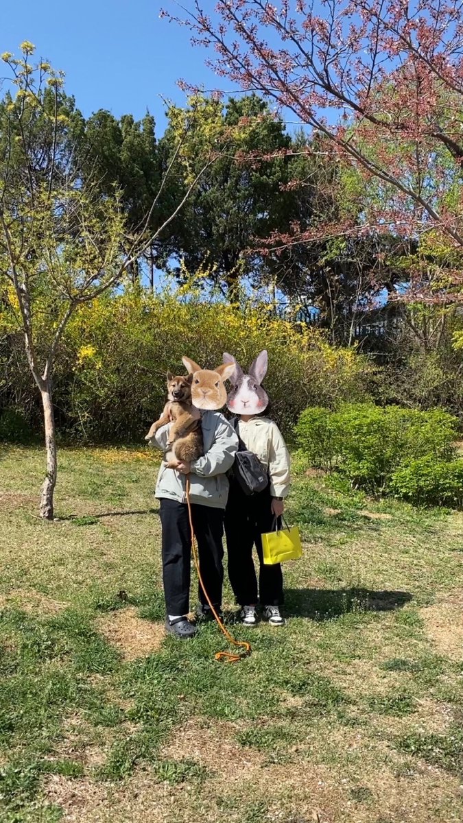 고양이 고도와 트찰라의 가족 찾는 김아람 tweet media