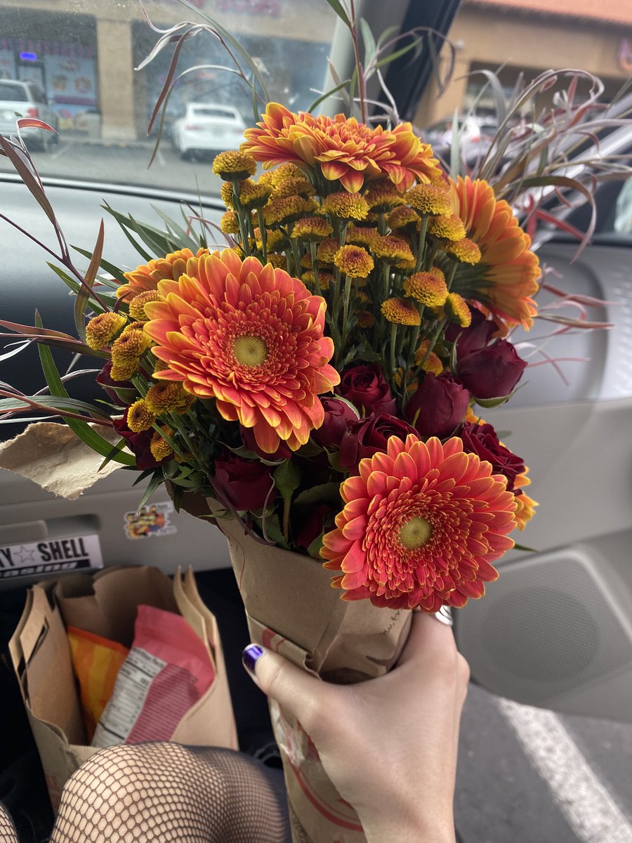 $asha ⌖ tweet media