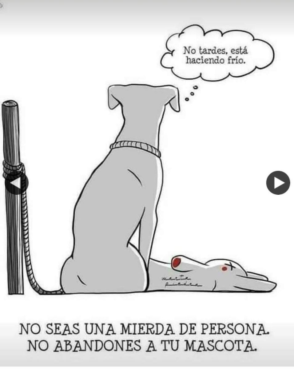 ManuSaenzVolvio's tweet photo. No al abandono!
😭💔 https://t.co/5A8aT3Vdi2