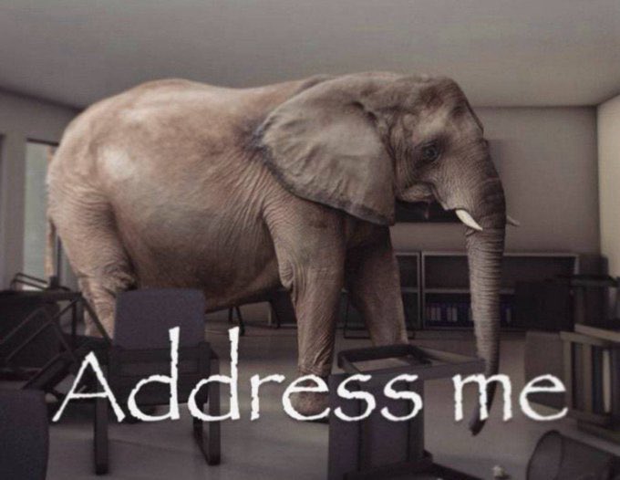 The Goose 🪿 tweet media