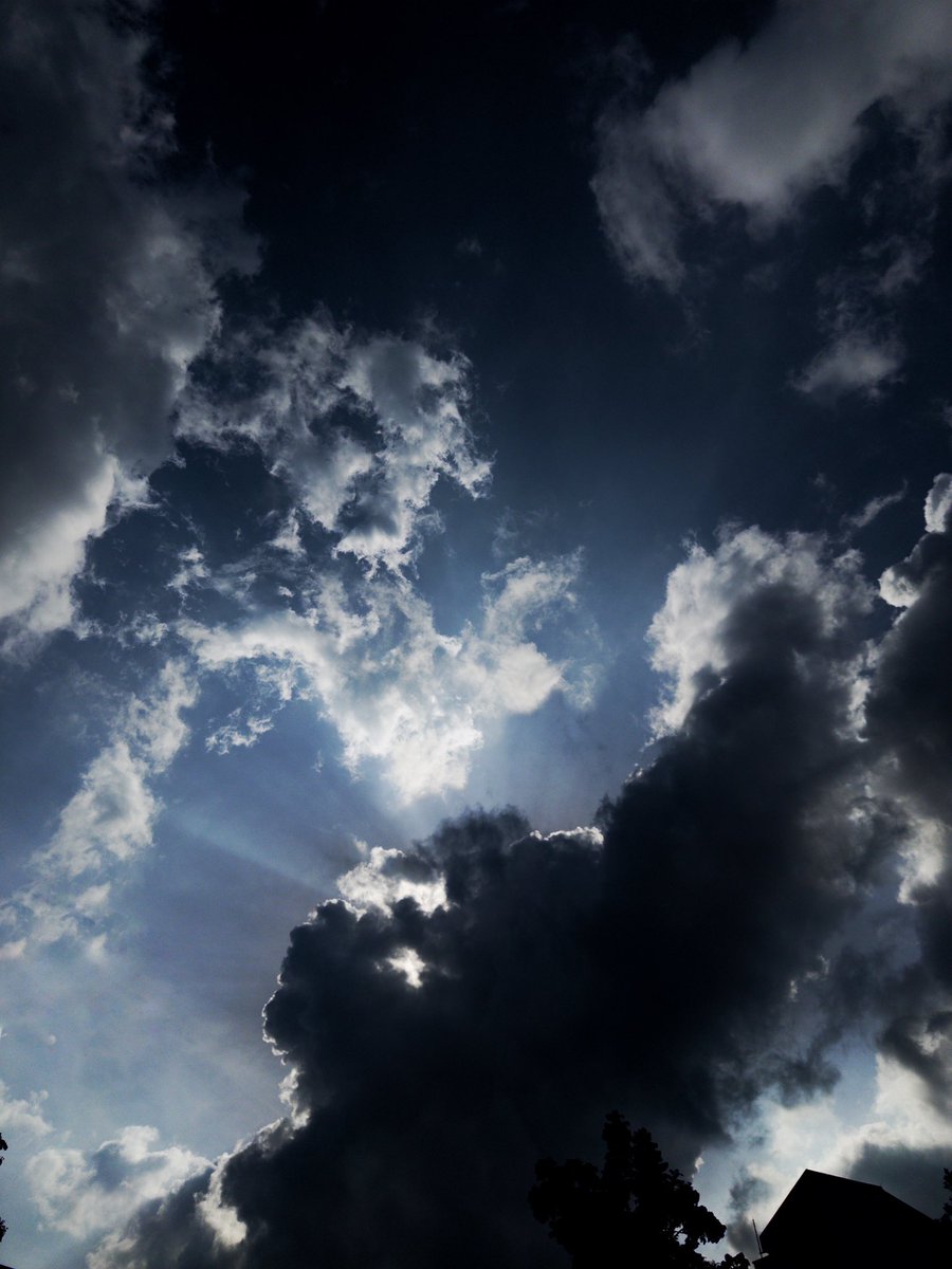 八重咲き tweet media