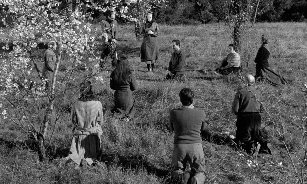 inforealmexico's tweet photo. Viridiana (1961) de Luis Buñuel.
https://t.co/FjojhxT6X3

Restauración 4k 2026 (Criterion 🇺🇸).
Encode Blu-ray 1080p (16 GB).

Con subtítulos opcionales en inglés, chino, francés, griego, polaco y rumano. 

Link expira en 90 días. https://t.co/Ian1D3zQA2