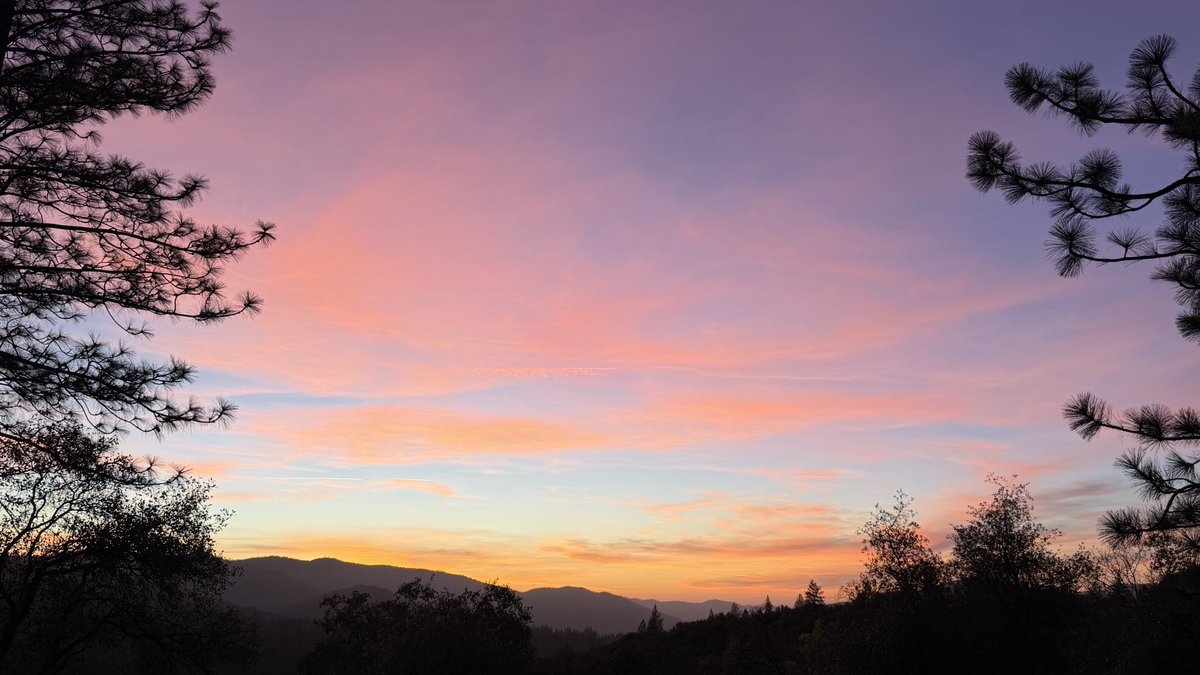 Beth Pratt tweet media