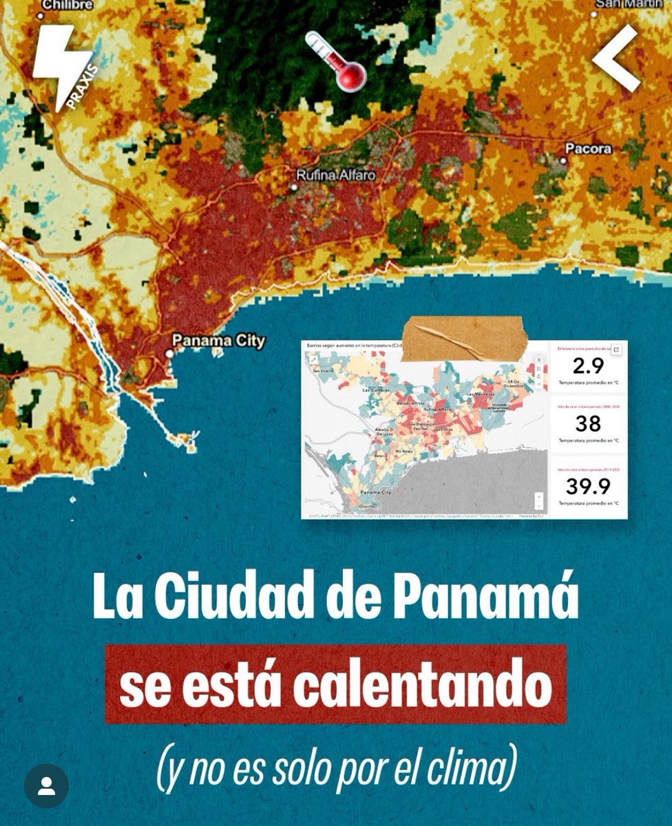 Freddy Pitti tweet media