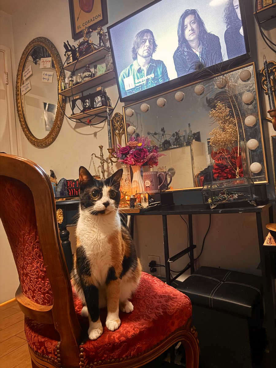 Layla 🔮 🕯️ 🩸 - Whimsigoth Witch tweet media