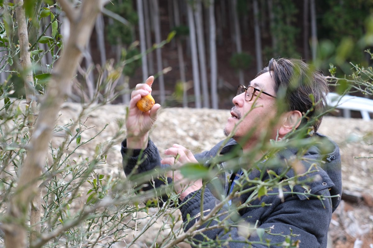 TOHOKU360 tweet media