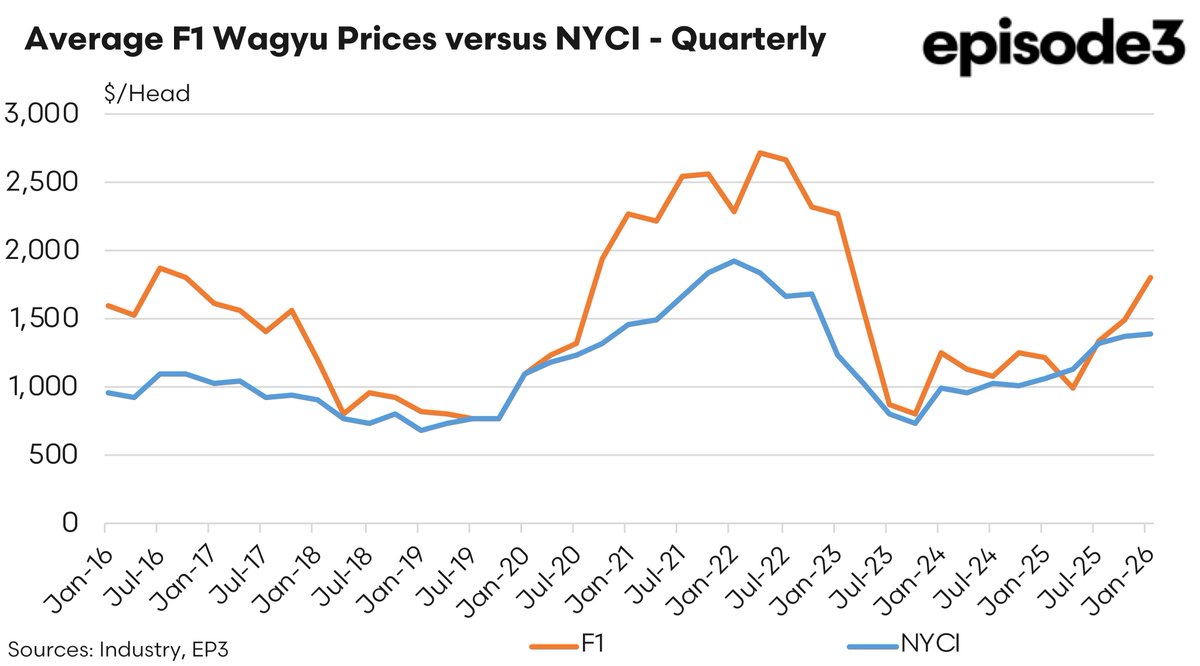 Matt Dalgleish tweet media