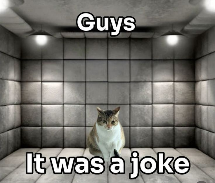 CatPosted's tweet photo. https://t.co/JuOlZSQ2gk