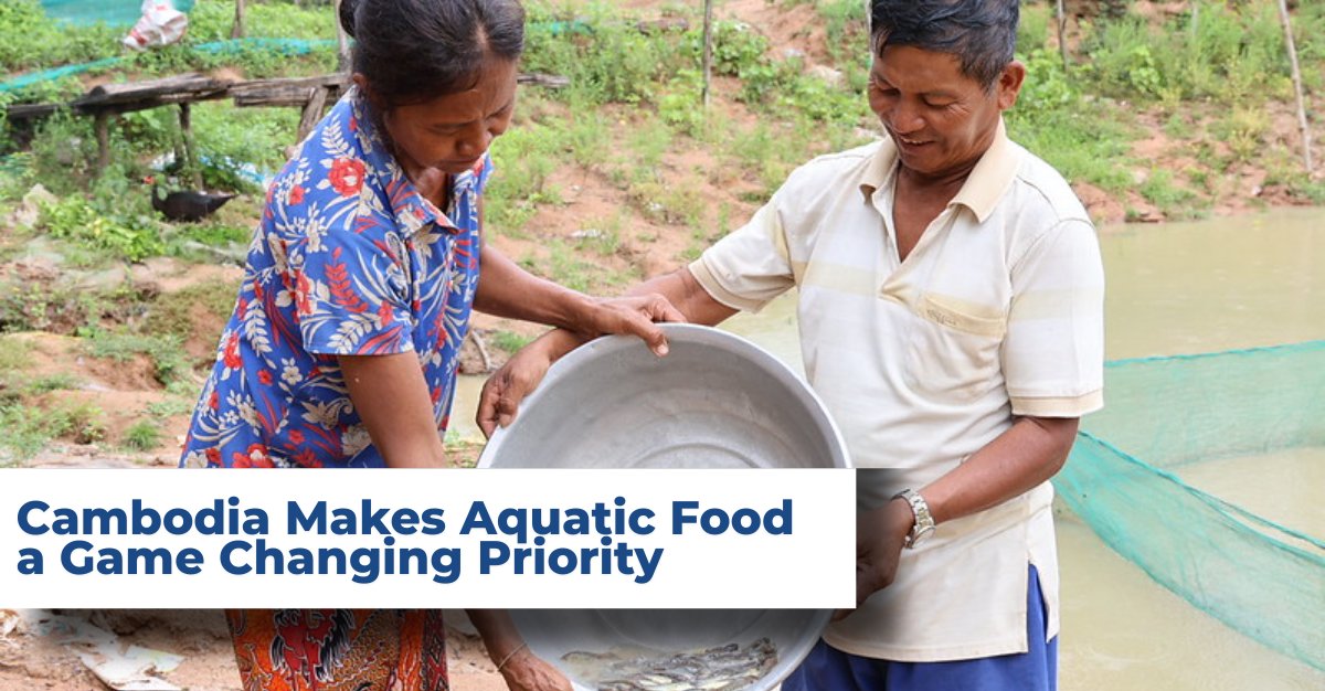 WorldFish tweet media