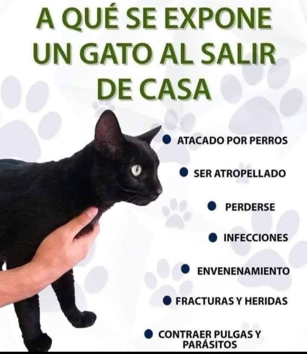 Manu Saenz💛💛 tweet media